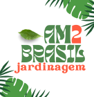 Am2 Brasil